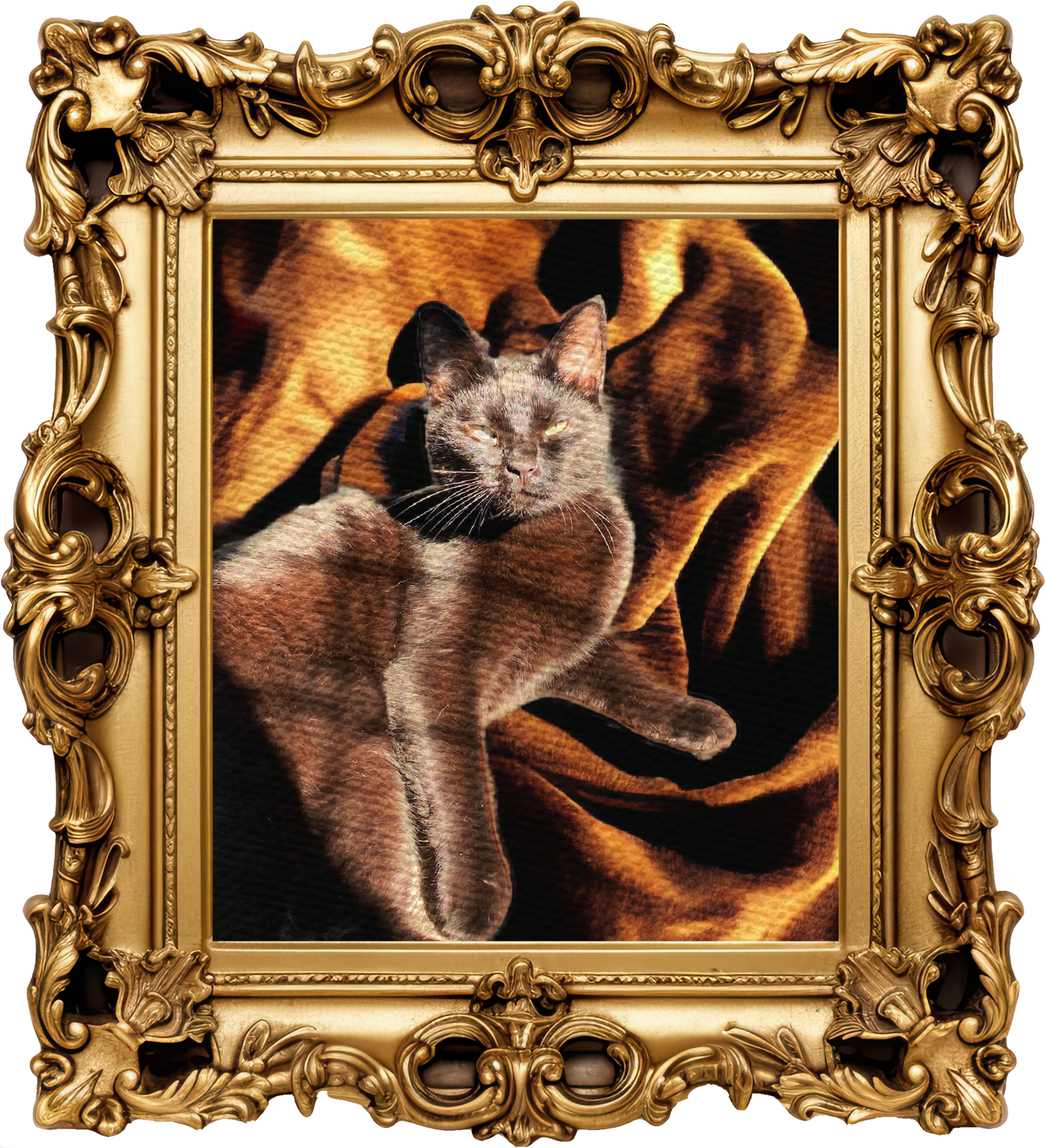 Framed photograph of Vlad, a black cat, on a deep gold velvet background. The sun is reflected on his fur so he looks a warm brown colour. He's laying in a relaxed manner, with his eyes half closed, but propped up a little from behind so he is leaning.